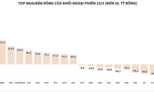 Khối ngoại tiếp tục giải ngân vào DGC thêm 310 tỷ đồng