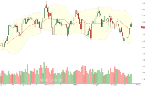 Blog chứng khoán: Giảm là múc!