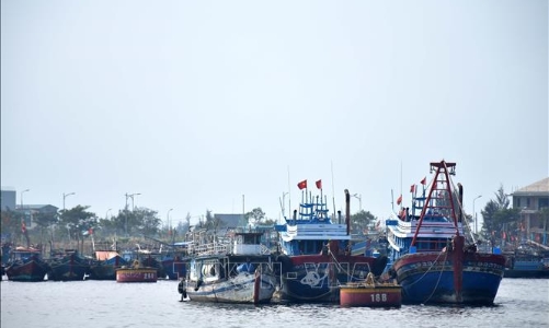 Ngành nông nghiệp phải làm gì để tiêu hết 60.000 tỷ đồng vốn đầu tư?