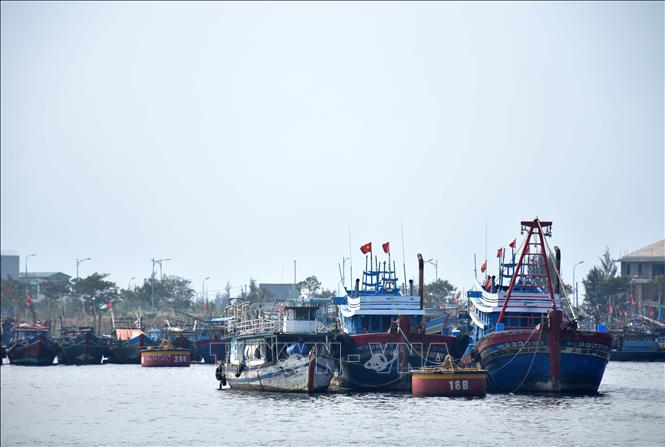Ảnh minh họa.