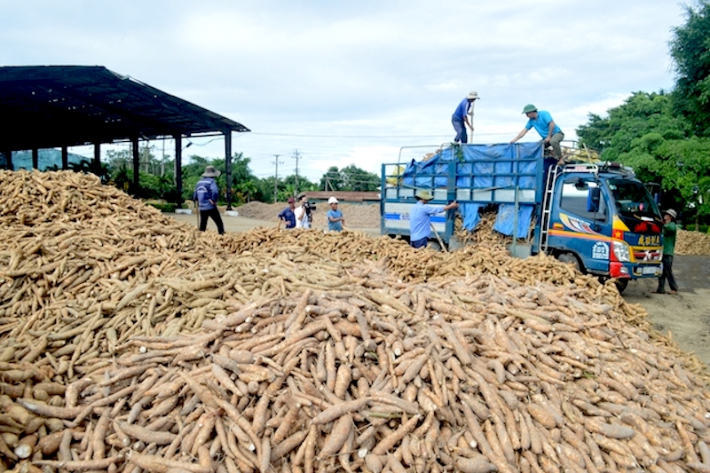 Với hồ sơ hoàn thuế có kết quả trả lời xác minh của cơ quan thuế nước ngoài như đơn vị nhập khẩu không tồn tại hoặc tồn tại nhưng không thừa nhận nhập khẩu hàng hóa của doanh nghiệp Việt... thì cục thuế xác định dấu hiệu gian lận hoàn thuế, thu thập hồ sơ, chuyển cơ quan công an.
