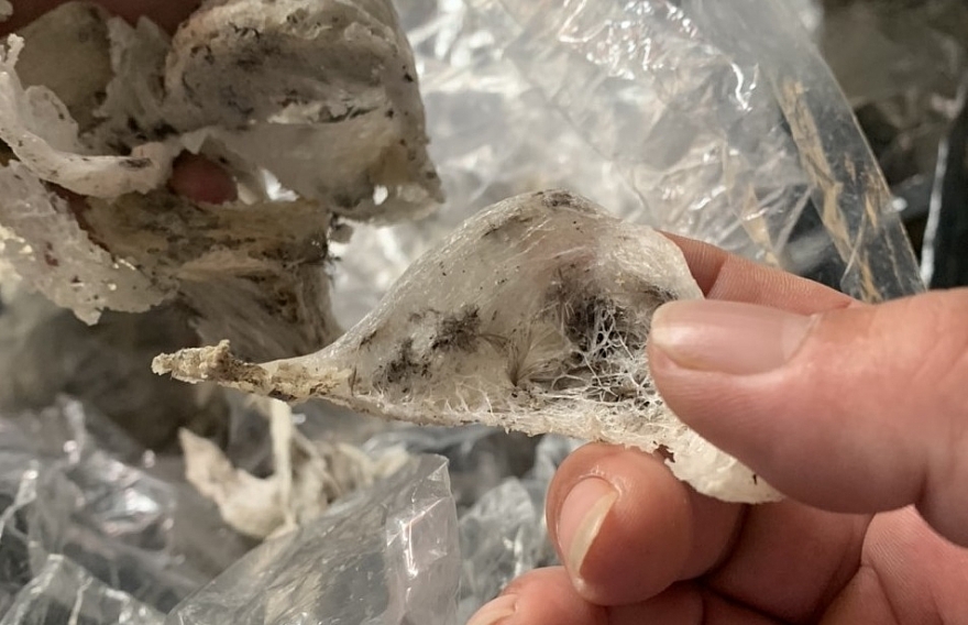 180 kg yến nguyên liệu không có nhãn hàng hóa theo quy định.