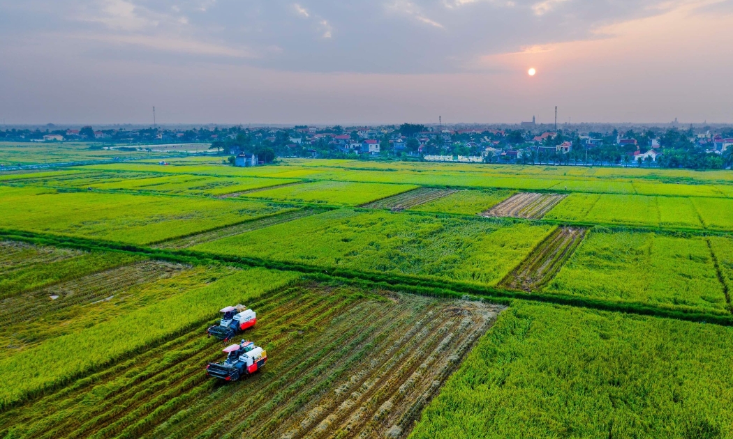 Phát triển Nông nghiệp, nông thôn bền vững”, được coi là một trong những nhiệm vụ đặc biệt quan trọng của Hải Phòng