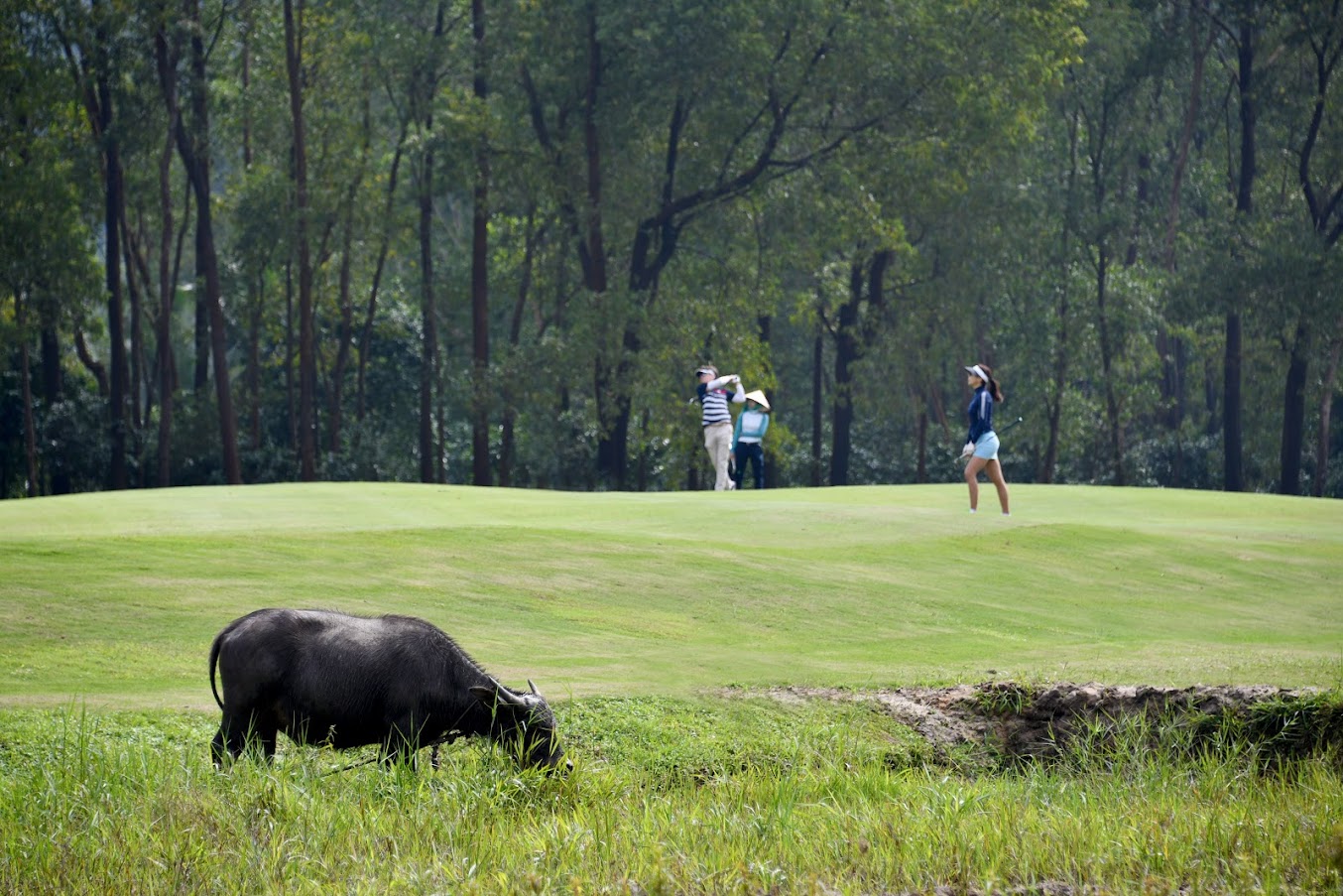 Đi sau so với Thái Lan, Malaysia, nhưng các sân golf Việt Nam có ưu thế là đẹp, mới, đa dạng địa hình, do nhiều golfer nổi tiếng thế giới thiết kế.