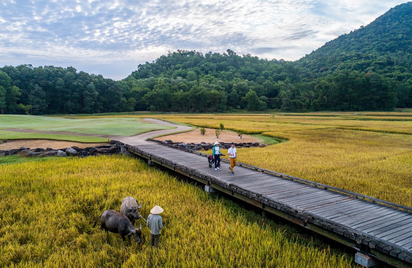 Việt Nam đã có 2 năm được vinh danh là “Điểm đến Golf tốt nhất thế giới”.