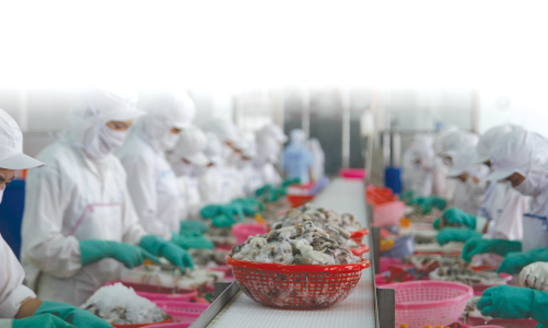 “Giảm khai thác, tăng xuất khẩu”: Thách thức lớn cho ngành thủy sản 