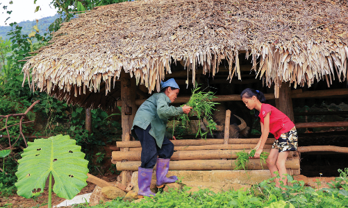Giảm nghèo bền vững: Cần thay đổi cách hỗ trợ người nghèo