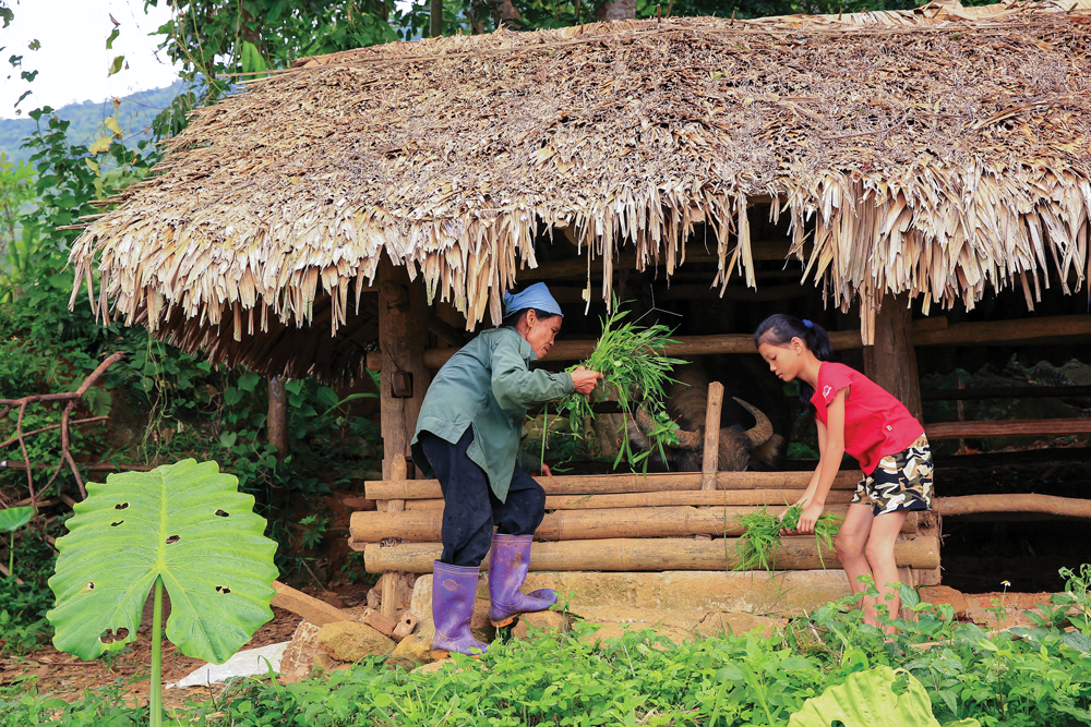 Ảnh: Chu Xuân Khoa