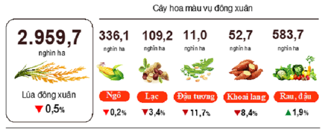 Diện tích gieo trồng một số cây hàng năm (Tính đến trung tuần tháng Ba). Nguồn: Tổng cục Thống kê.