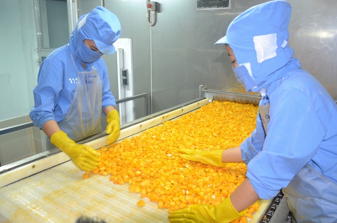 Xoài đông lạnh Việt Nam được người tiêu dùng Nhật yêu thích.