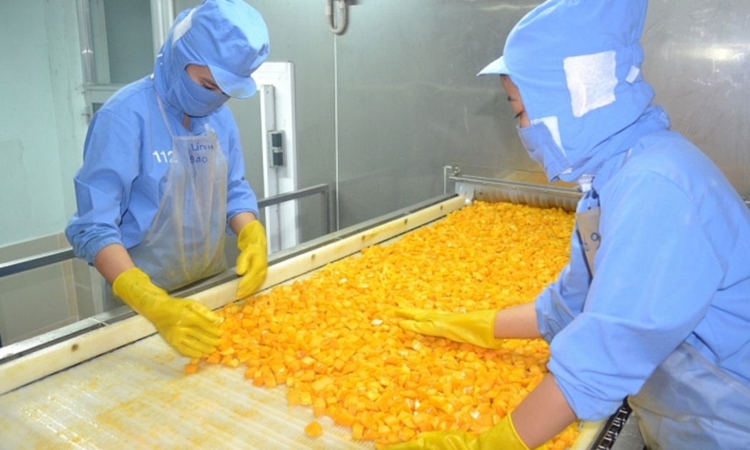 Xoài đông lạnh Việt Nam được người tiêu dùng Nhật yêu thích.