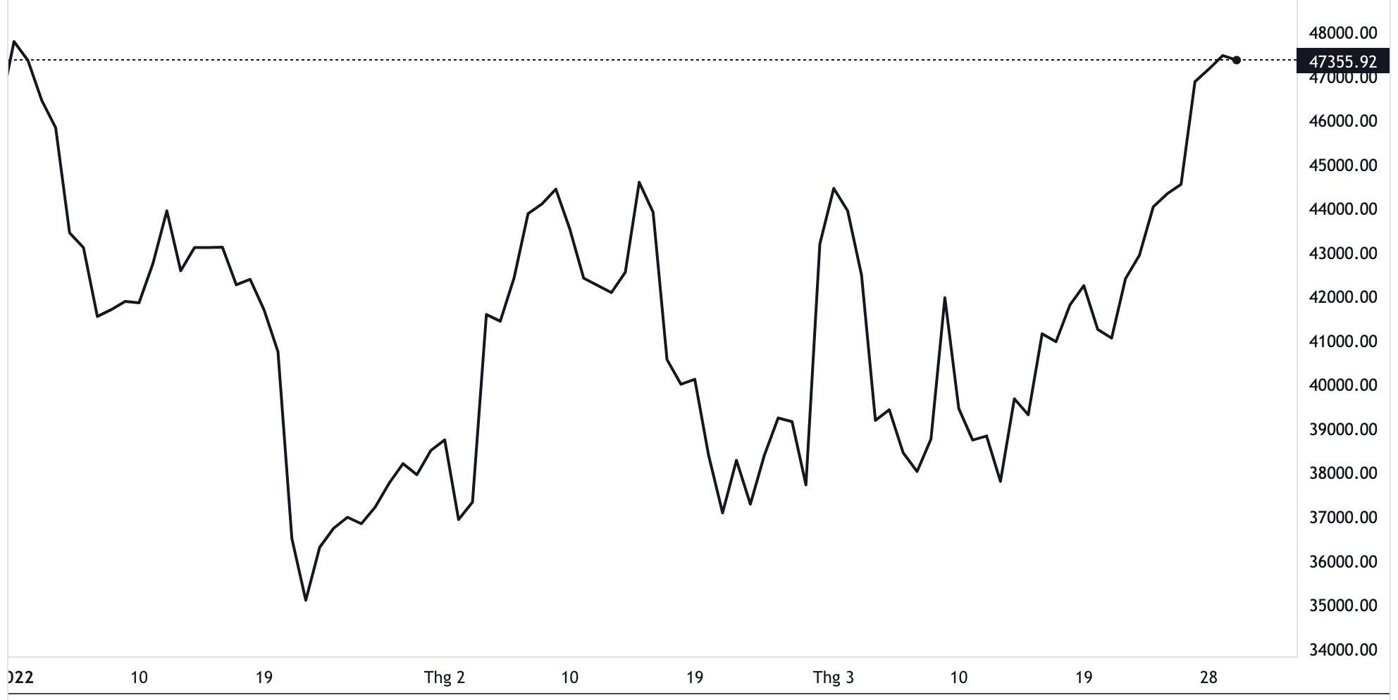 Diễn biến giá Bitcoin từ đầu năm đến nay. Đơn vị: USD/Bitcoin - Nguồn: TradingView.