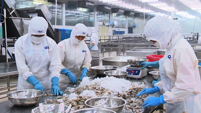 80% hàng hóa của đồng bằng sông Cửu Long hiện vẫn phải tập kết và xuất khẩu qua các cảng tại TP. Hồ Chí Minh khiến chi phí logistics tăng cao.