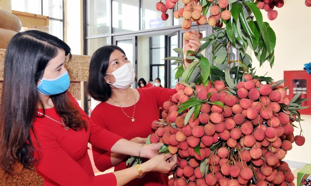 Năm 2022, tỉnh Bắc Giang phấn đấu xuất khẩu 1.600 tấn vải thiều.