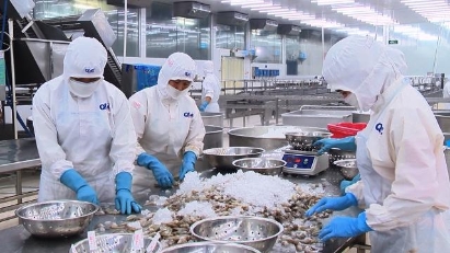 Seaport and logistics services needed in Mekong Delta