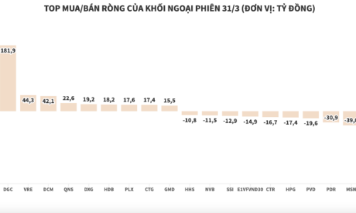 Ngoài DGC, khối ngoại giải ngân ròng mạnh vào VNM