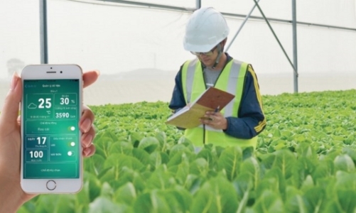 Triển khai dự án nông nghiệp carbon thấp trong 6 năm với tổng kinh phí 390 triệu USD