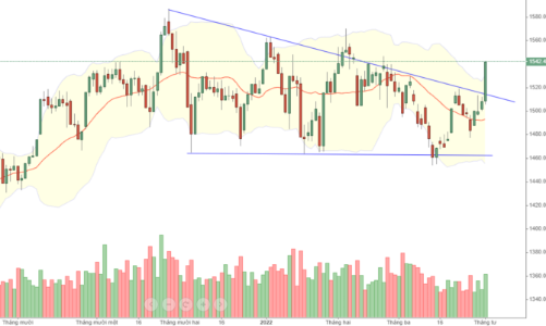 Blog chứng khoán: Đảo ngược tâm lý thành công