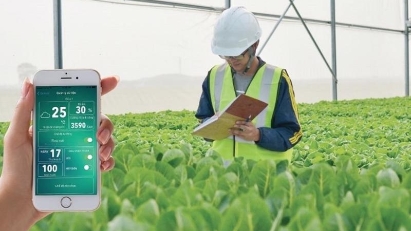 Low-carbon agricultural value chain project to go ahead