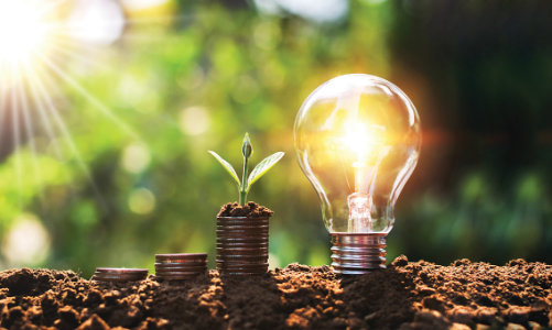 Chuyển hướng sang kinh tế xanh, Việt Nam thêm cơ hội hút vốn FDI