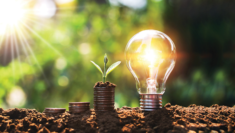 Green economy needs boost to attract FDI