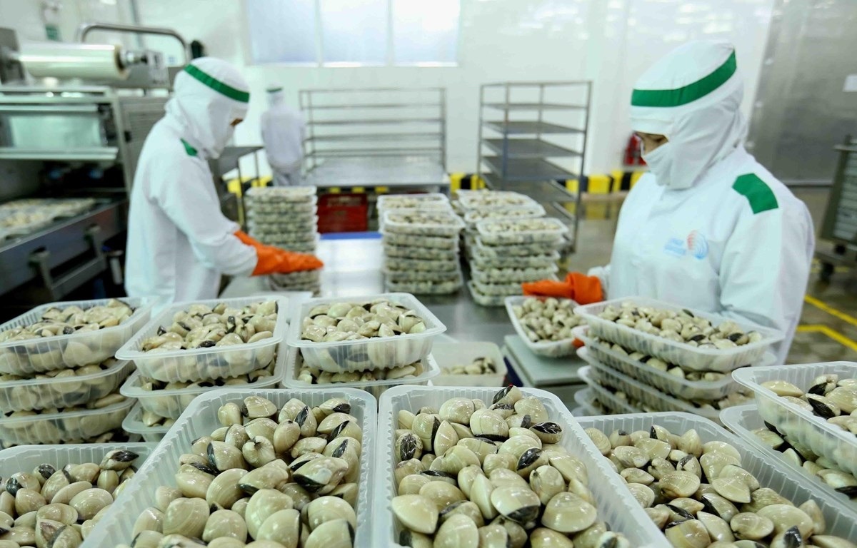 Năm 2021, xuất khẩu nghêu sang thị trường EU tăng 42%  so với cùng kỳ.