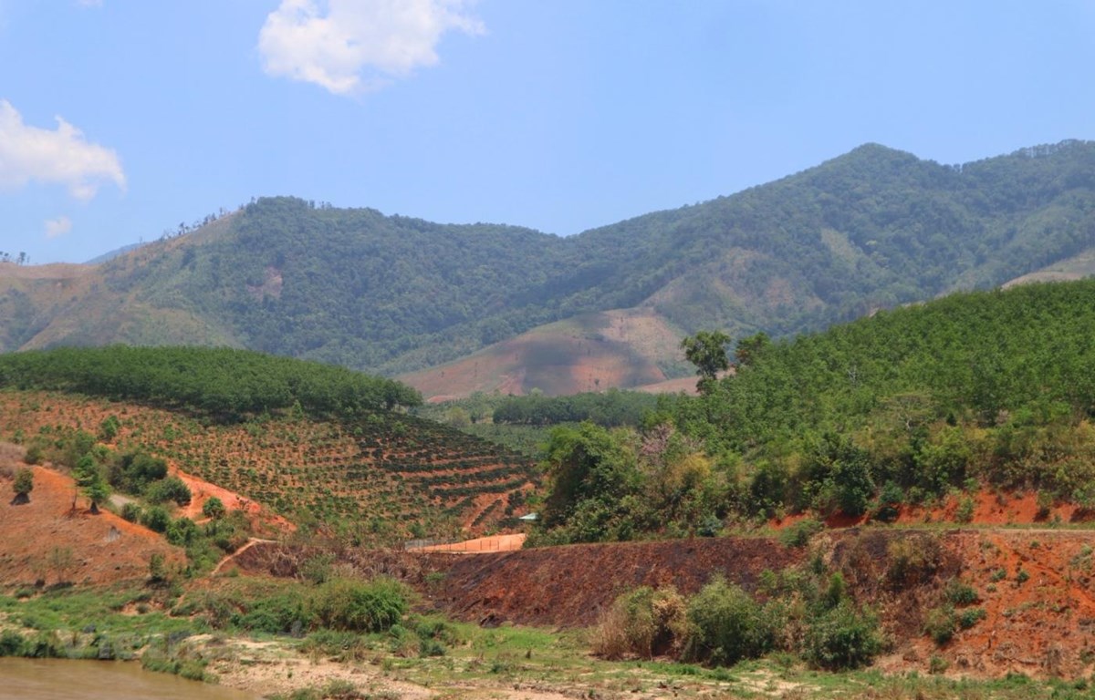 Hiện tại các thông tin về quy hoạch, hạ tầng vẫn mang nặng tính đồn đoán và việc thổi giá bất động sản bằng các chiêu thức thiếu lành mạnh vẫn chưa được xử lý triệt để