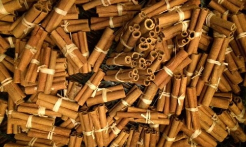 Quế hồi organic Việt Nam chinh phục thị trường Mỹ