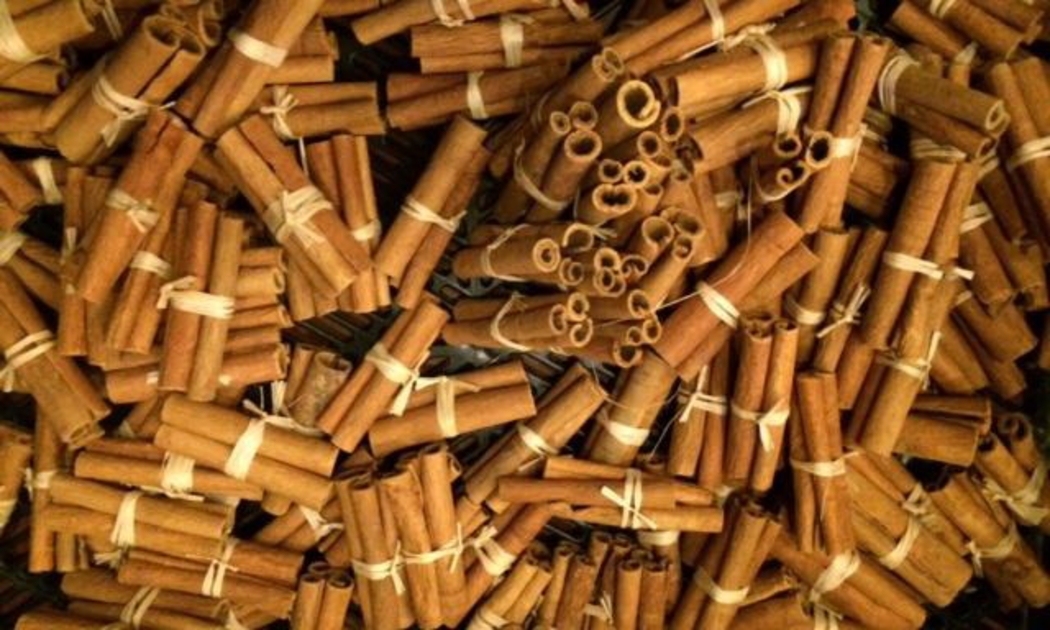 Việt Nam là một trong số ít các quốc gia sở hữu diện tích quế, hồi rất lớn trên thế giới.