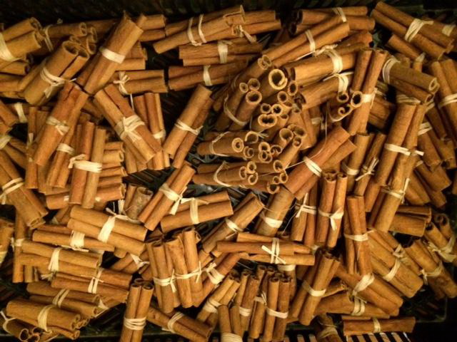 Việt Nam là một trong số ít các quốc gia sở hữu diện tích quế, hồi rất lớn trên thế giới.