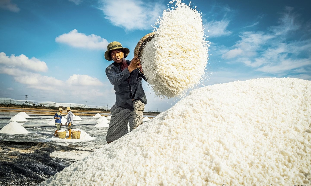 Nâng giá trị sản xuất nông nghiệp, hạt muối có thể bán với giá trị gấp 40 lần.