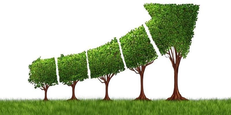 Các địa phương trong cả nước đang nỗ lực phát triển theo hướng “xanh hóa”, cùng góp sức đẩy nhanh quá trình chuyển đổi xanh trong nền kinh tế Việt Nam.