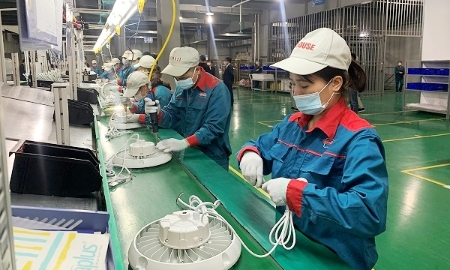 IFC sẽ hỗ trợ Việt Nam thúc đẩy phát triển khu vực kinh tế tư nhân