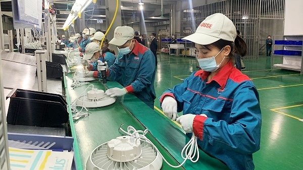 IFC sẽ hỗ trợ Việt Nam thúc đẩy phát triển khu vực kinh tế tư nhân