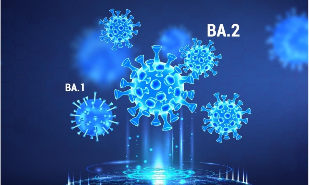 WHO đã bổ sung BA.4 và BA.5, biến thể