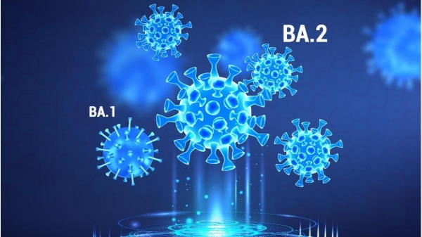 WHO bổ sung thêm hai biến thể phụ mới của Omicron vào danh sách cần theo dõi
