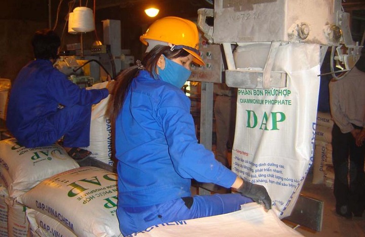 Phân bón DAP sản xuất trong nước mới đáp ứng được một phầncho nhu cầu của ngành nông nghiệp.