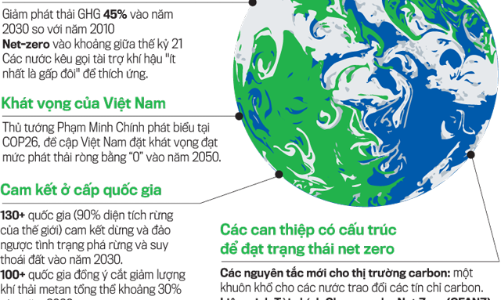 McKinsey khuyến nghị 5 ưu tiên cho hành trình phi carbon hóa ở Việt Nam