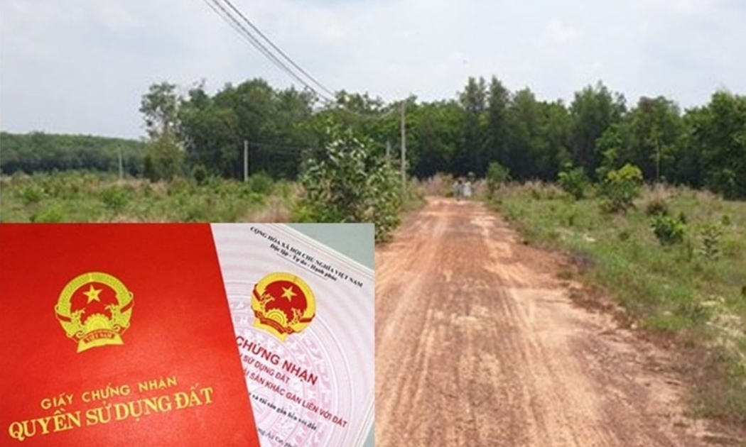 Nhiều sổ đỏ tại Quảng Nam đã được cấp có diện tích đất thổ cư lên đến 5.000 – 7.000m2.