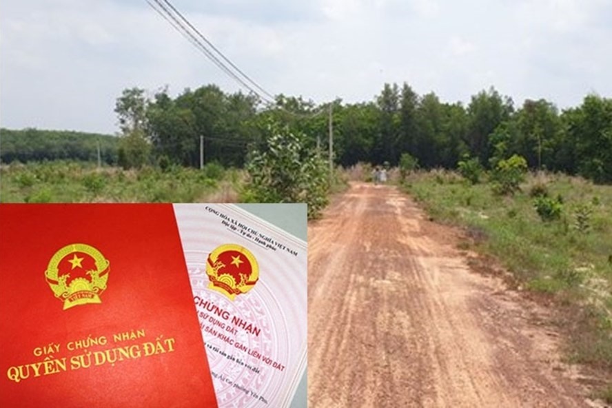 Nhiều sổ đỏ tại Quảng Nam đã được cấp có diện tích đất thổ cư lên đến 5.000 – 7.000m2.