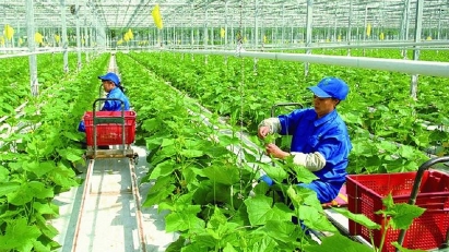 Green agricultural growth requires private enterprise participation