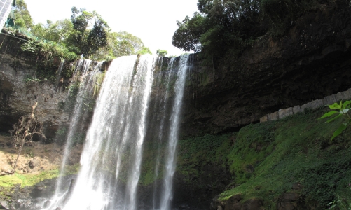 Chọn phương án xây cầu Mã Đà kết nối Bình Phước – Đồng Nai đi qua vùng đệm khu dự trữ sinh quyển thế giới
