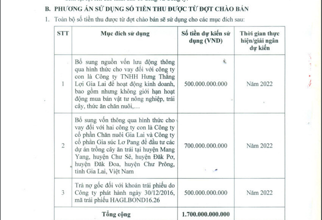 Phương &aacute;n sử dụng vốn của HAG
