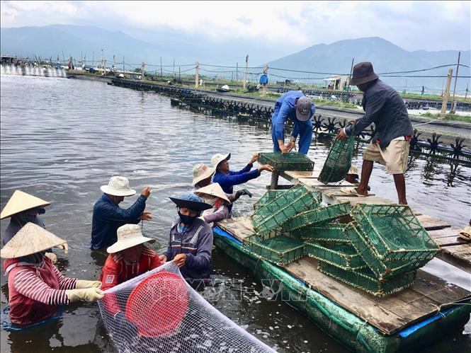 MoF proposes cutting land and water surface rentals