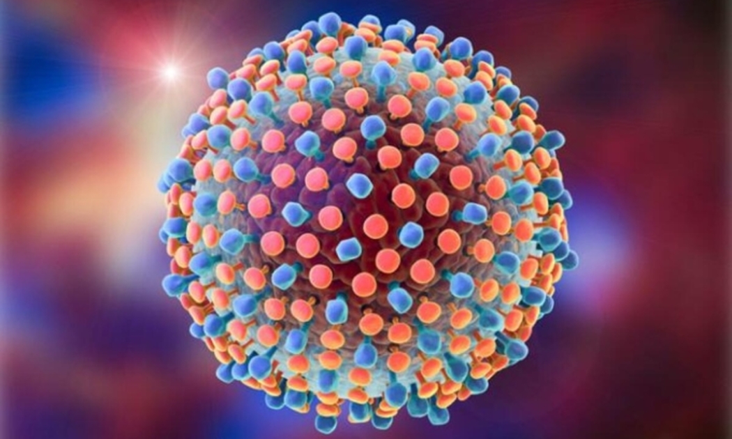 Hình đồ họa của virus viêm gan. Ảnh: Medical News Today