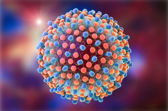 Hình đồ họa của virus viêm gan. Ảnh: Medical News Today