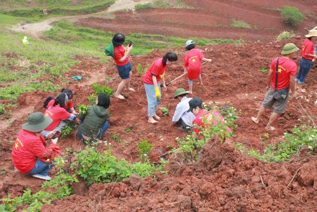 Ngày hội trồng cây phủ xanh đất trống đồi trọc do MEVI tổ chức tại Xuân Nha, Vân Hồ.