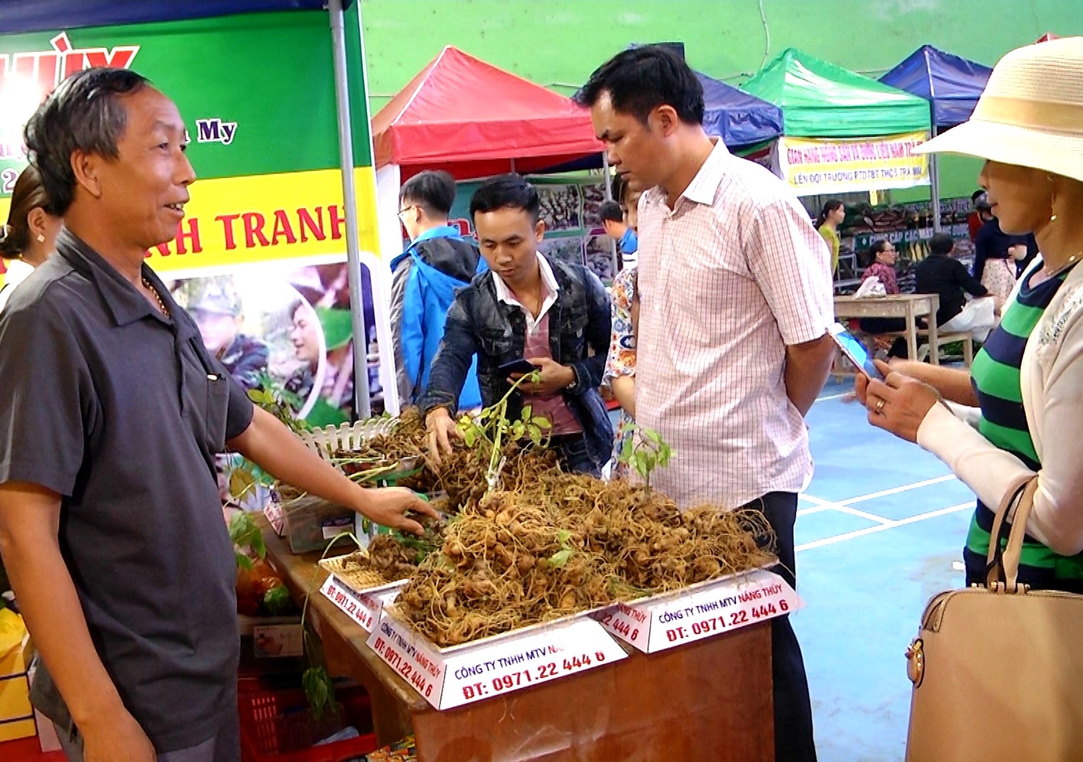 Sâm Ngọc Linh được kỳ vọng sẽ đưa kinh tế Kon Tum khởi sắc