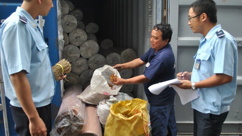 Cơ quan hải quan sẽ cưỡng chế doanh nghiệp nợ thuế quá hạn.