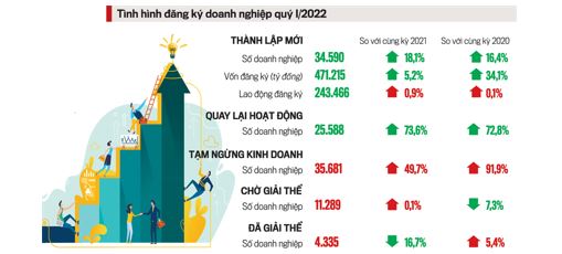 Doanh nghiệp hứng khởi trở lại thị trường - Ảnh 1